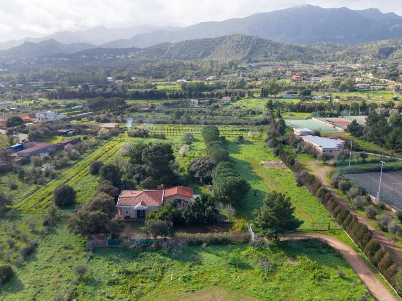 immagine annuncio 8 di 12