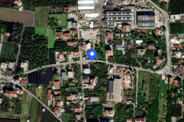 insertion image