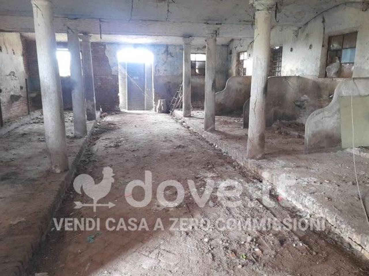 immagine annuncio 6 di 8