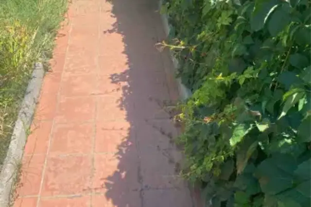 insertion image