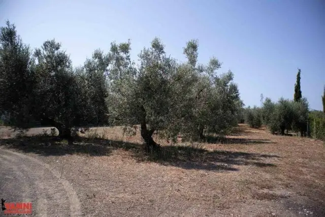 Mansion in Via Giovanni Cantini, Cecina - Photo 1