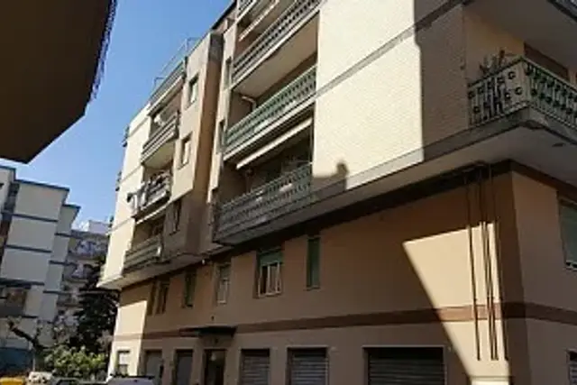 insertion image