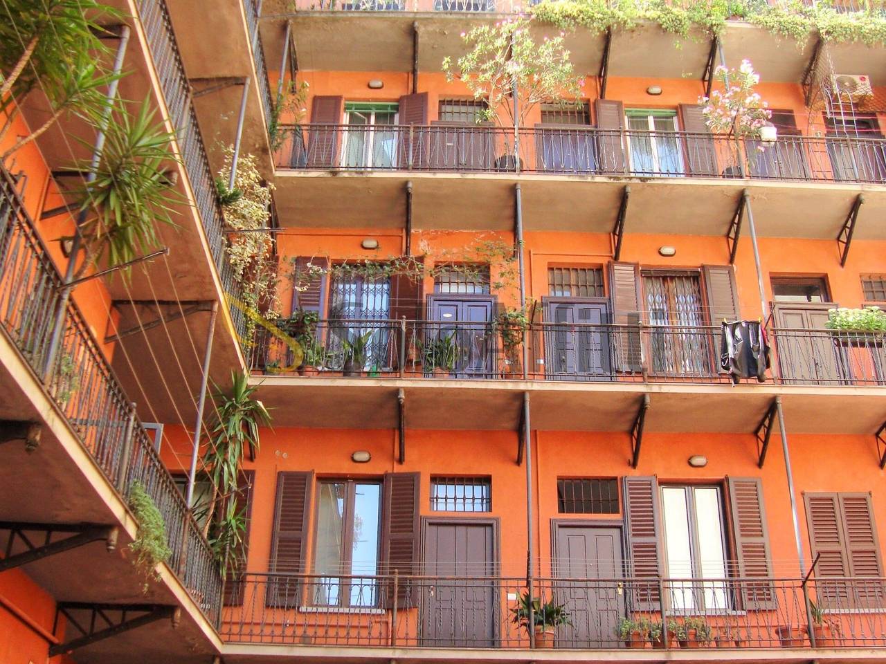 immagine annuncio 11 di 14