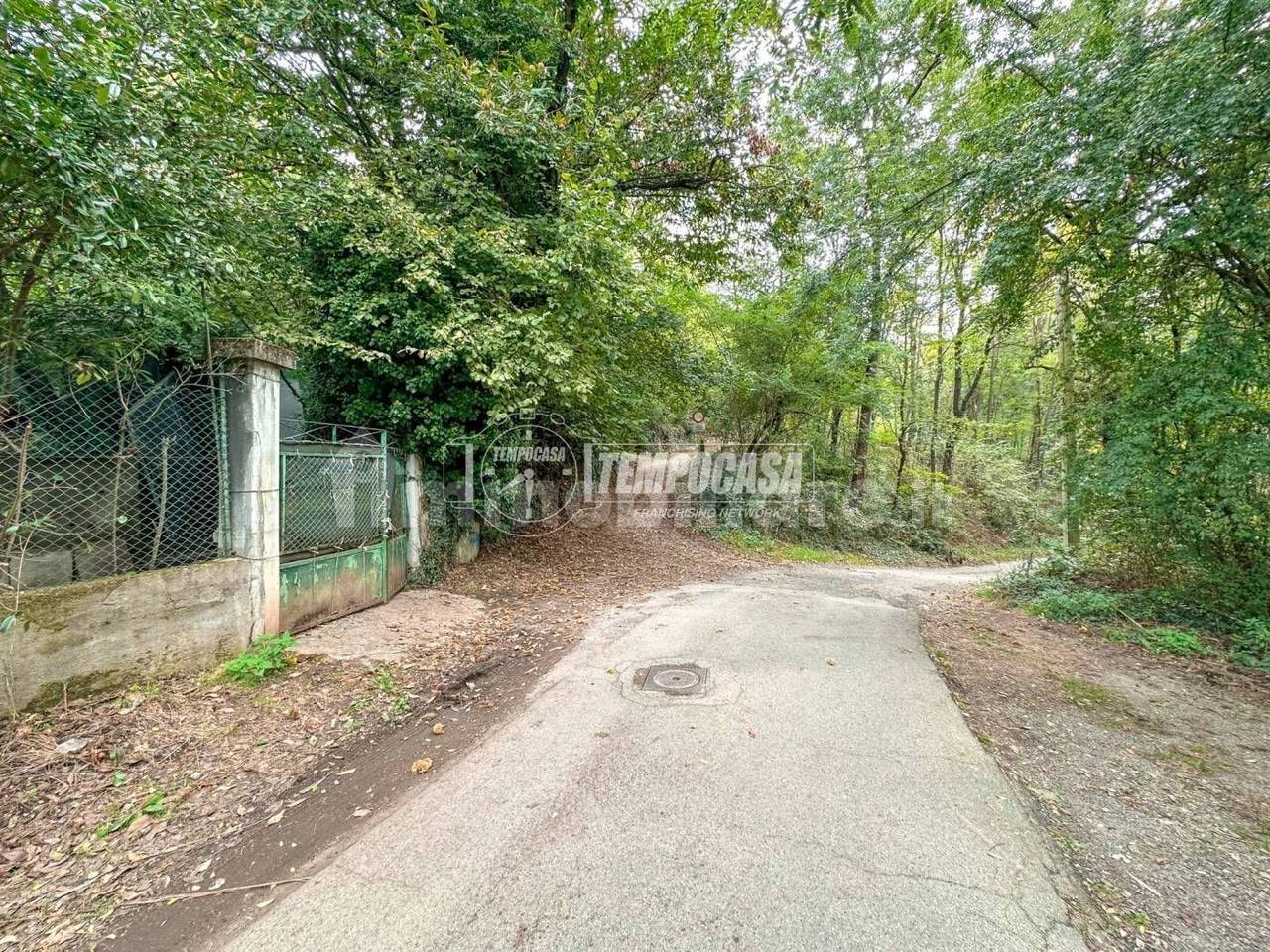 immagine annuncio 3 di 6