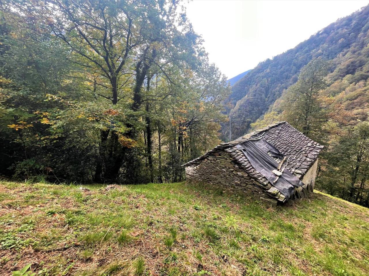 immagine annuncio 6 di 11