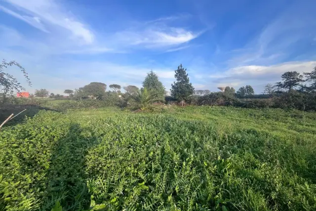 Terreno agricolo in Via della Selva Piana, Pomezia - Foto 1