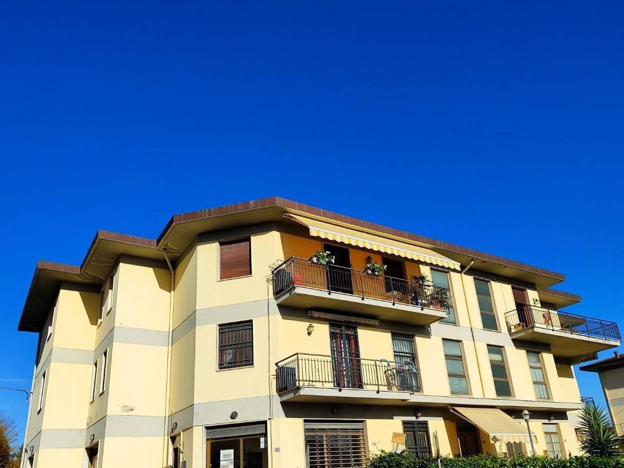 immagine annuncio 12 di 15