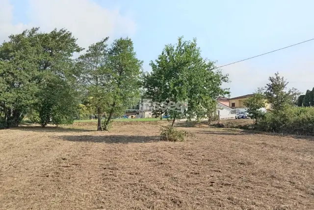insertion image