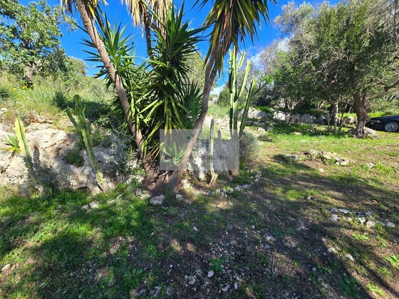 immagine annuncio 1 di 6