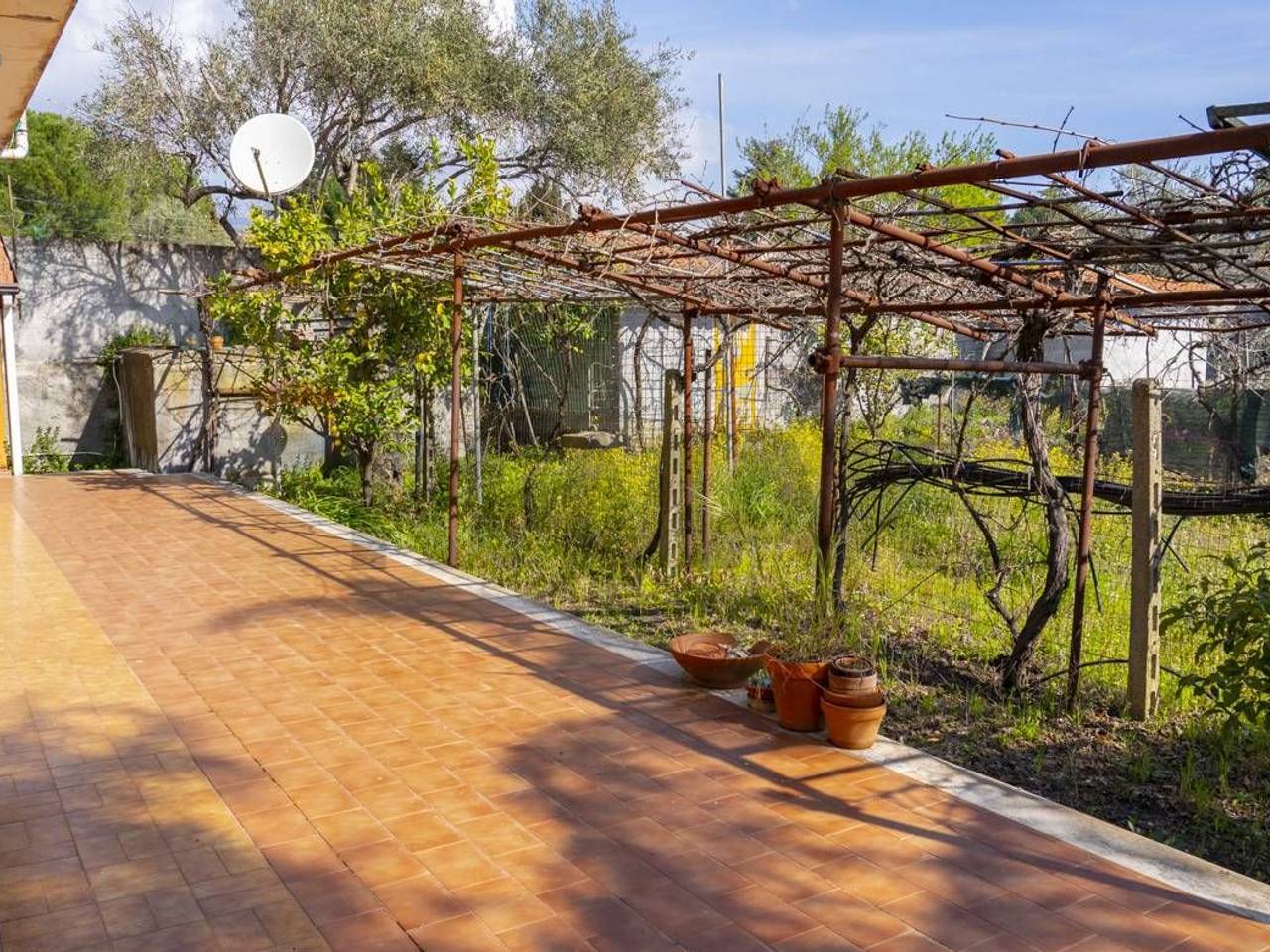 immagine annuncio 11 di 15