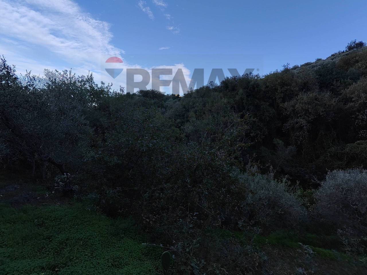 immagine annuncio 6 di 8