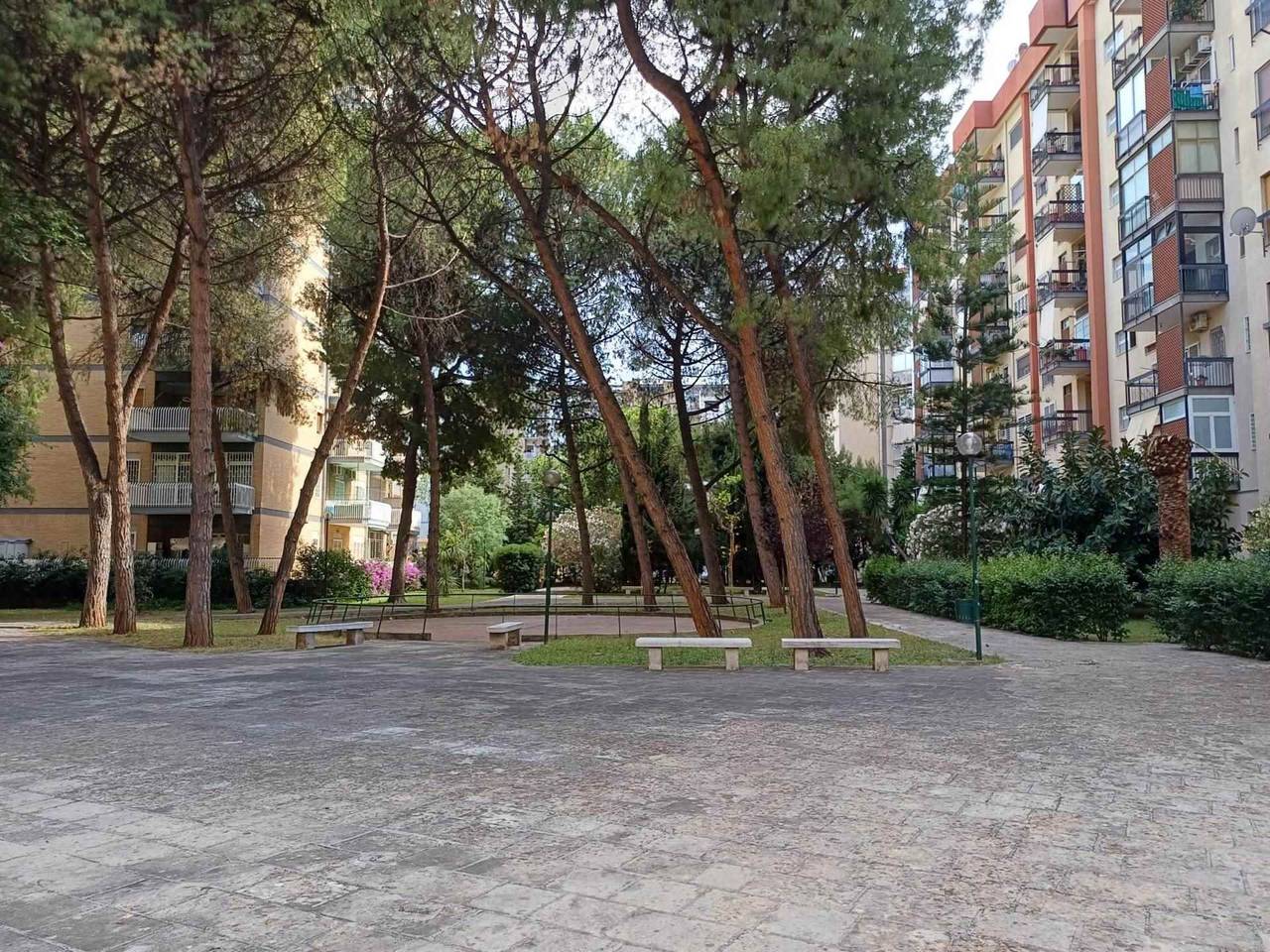 immagine annuncio 12 di 14