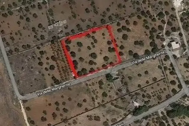 insertion image
