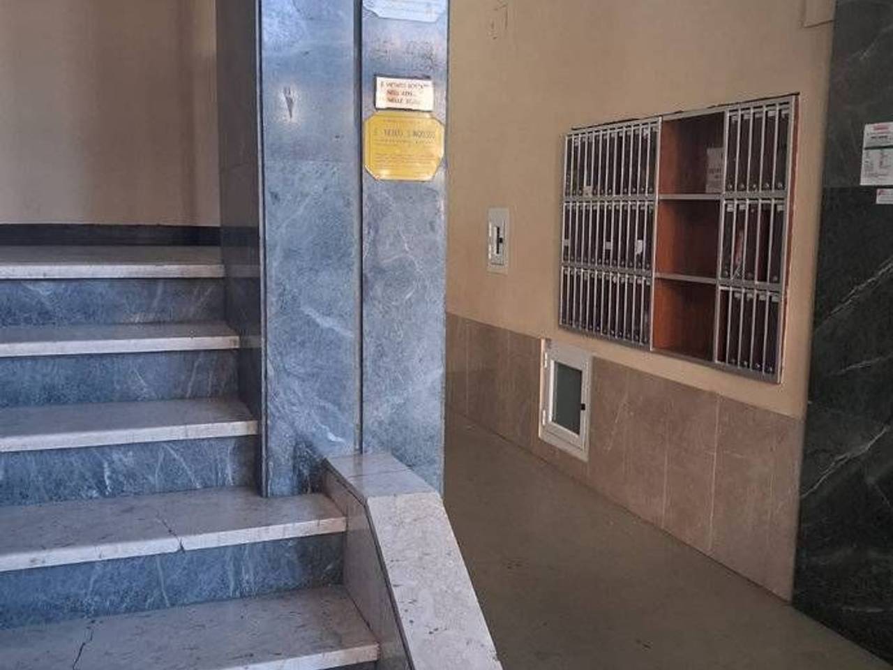 immagine annuncio 7 di 8