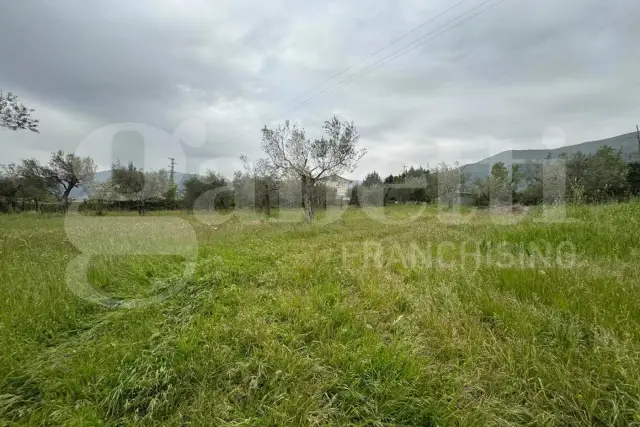 insertion image