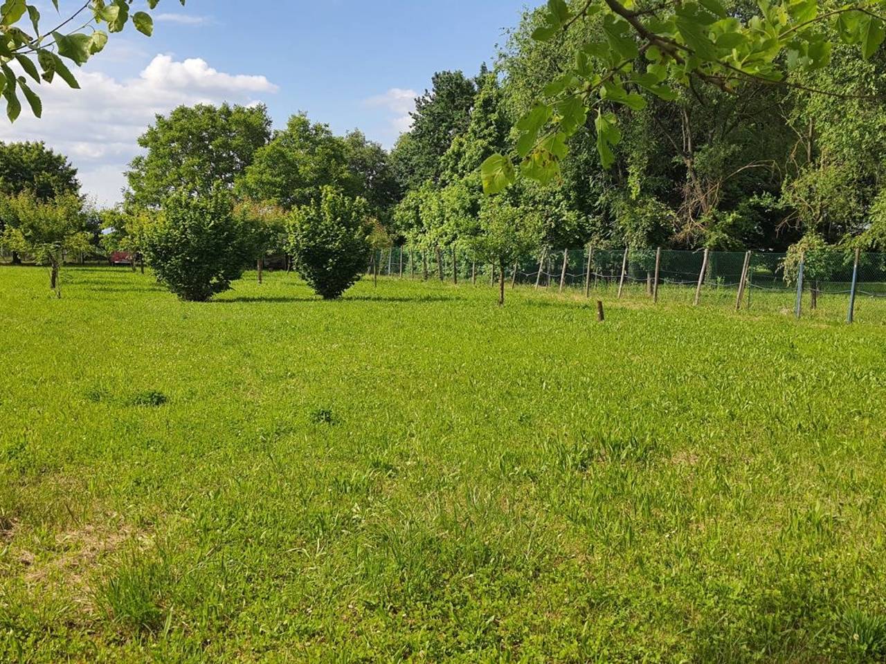 immagine annuncio 4 di 15