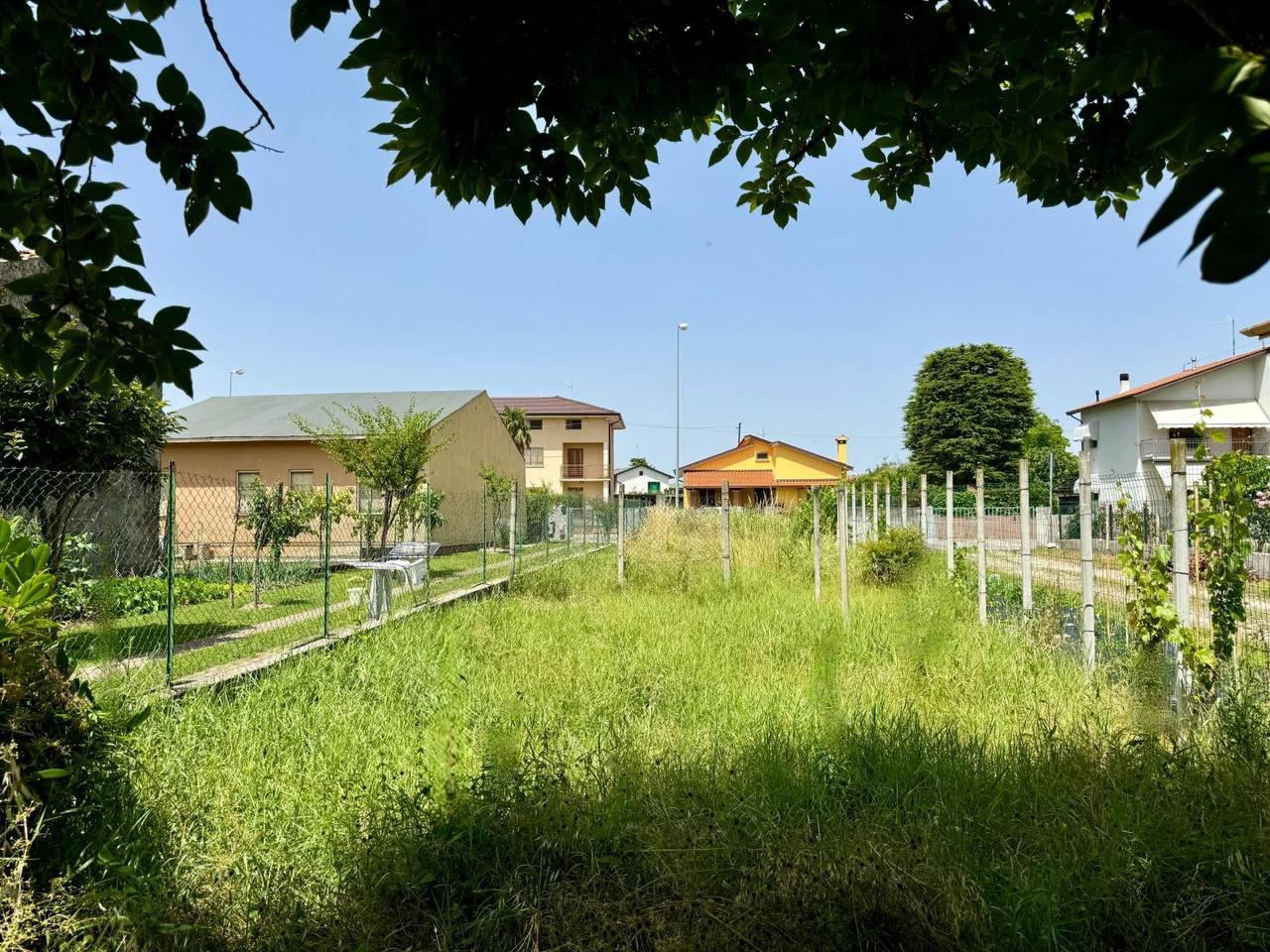 immagine annuncio 5 di 11