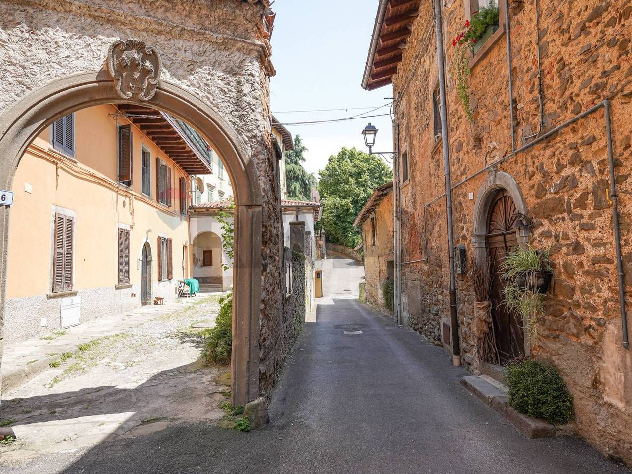 immagine annuncio 12 di 14