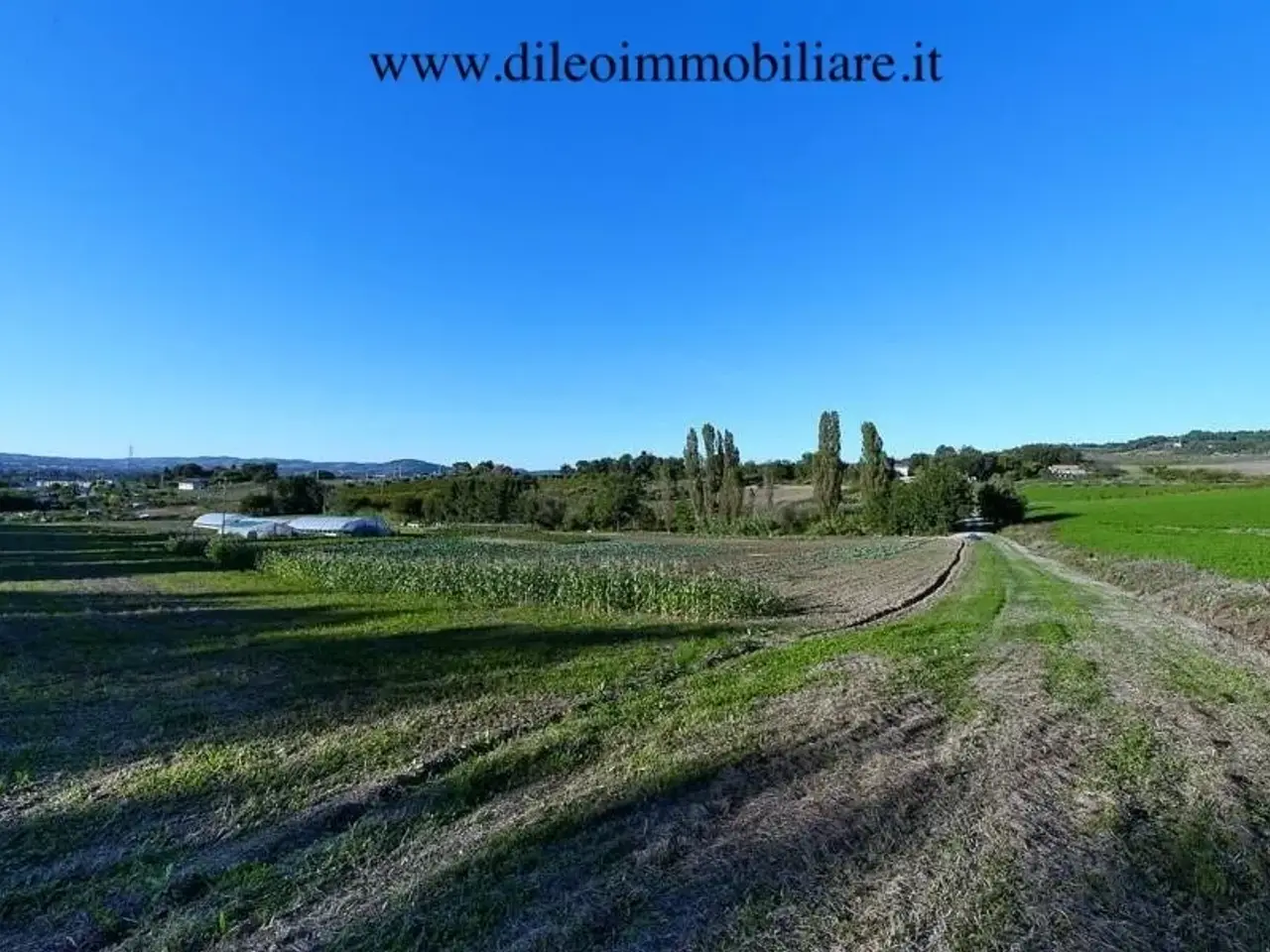 Azienda agricola in , Pesaro, {3} - Foto 2