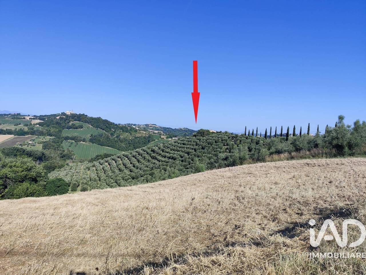immagine annuncio 7 di 14