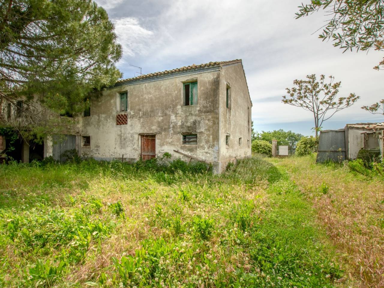 immagine annuncio 5 di 15