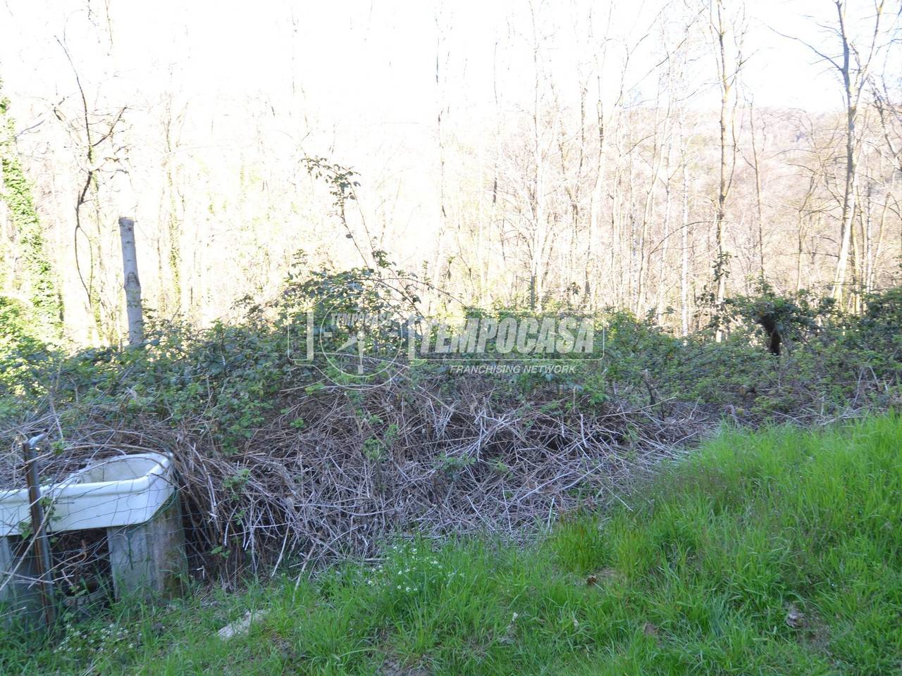 immagine annuncio 3 di 11