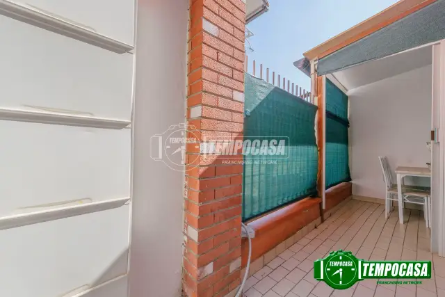 insertion image