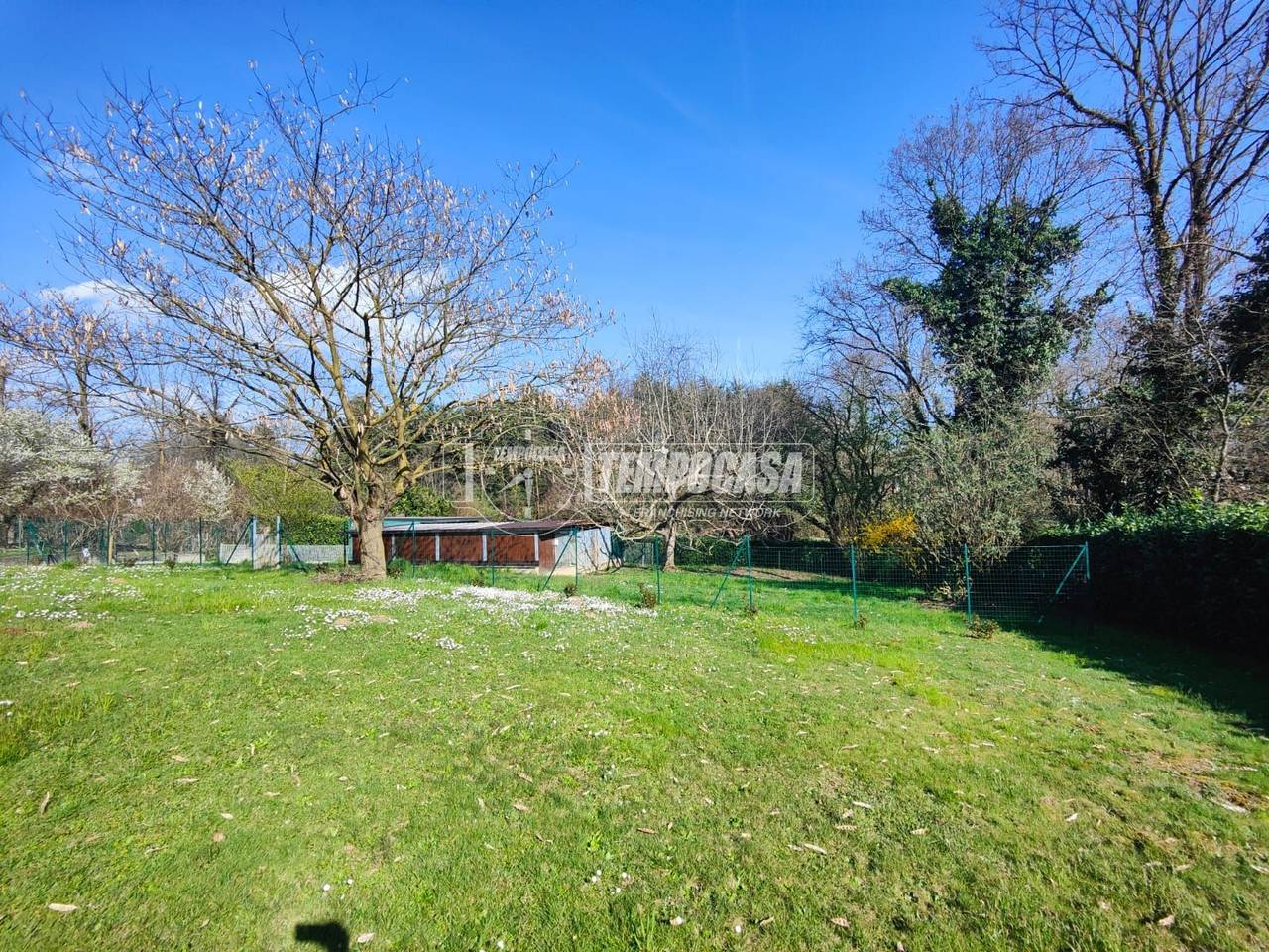 immagine annuncio 1 di 12