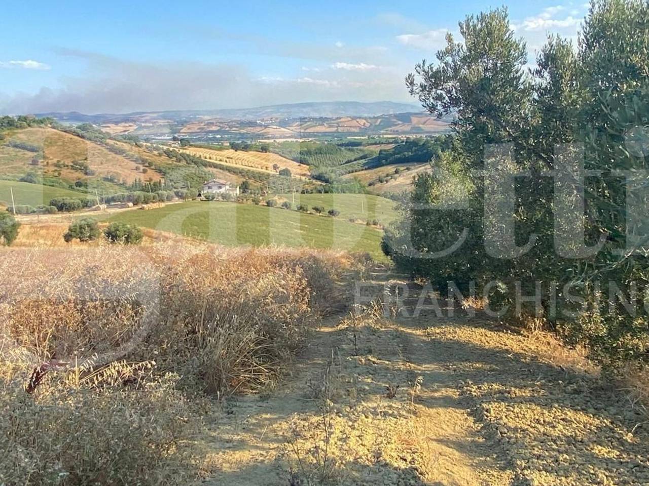 immagine annuncio 5 di 11