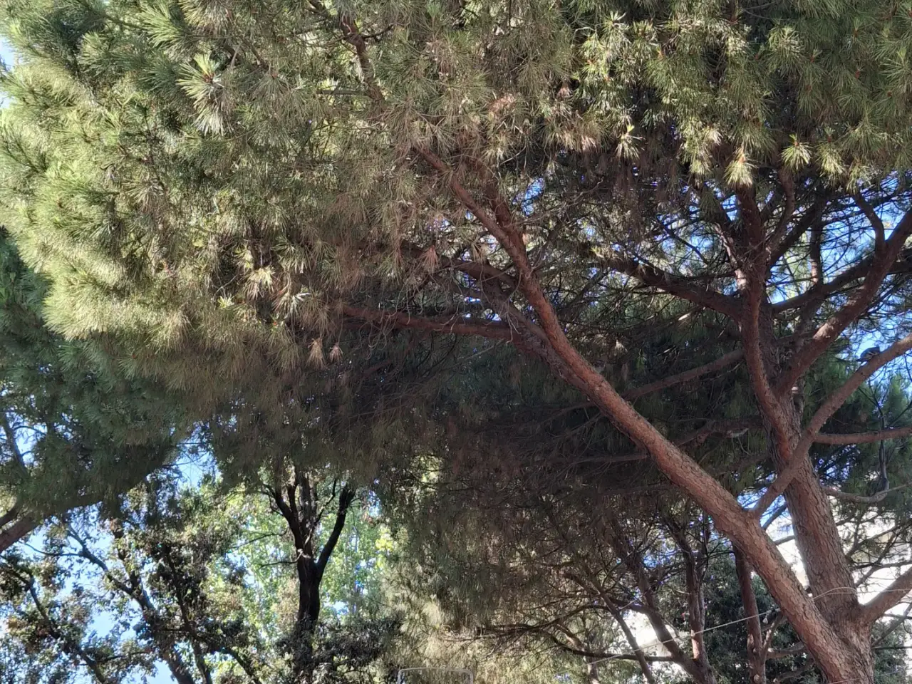 Negozio in Viale Rapallo, Rimini, {3} - Foto 2