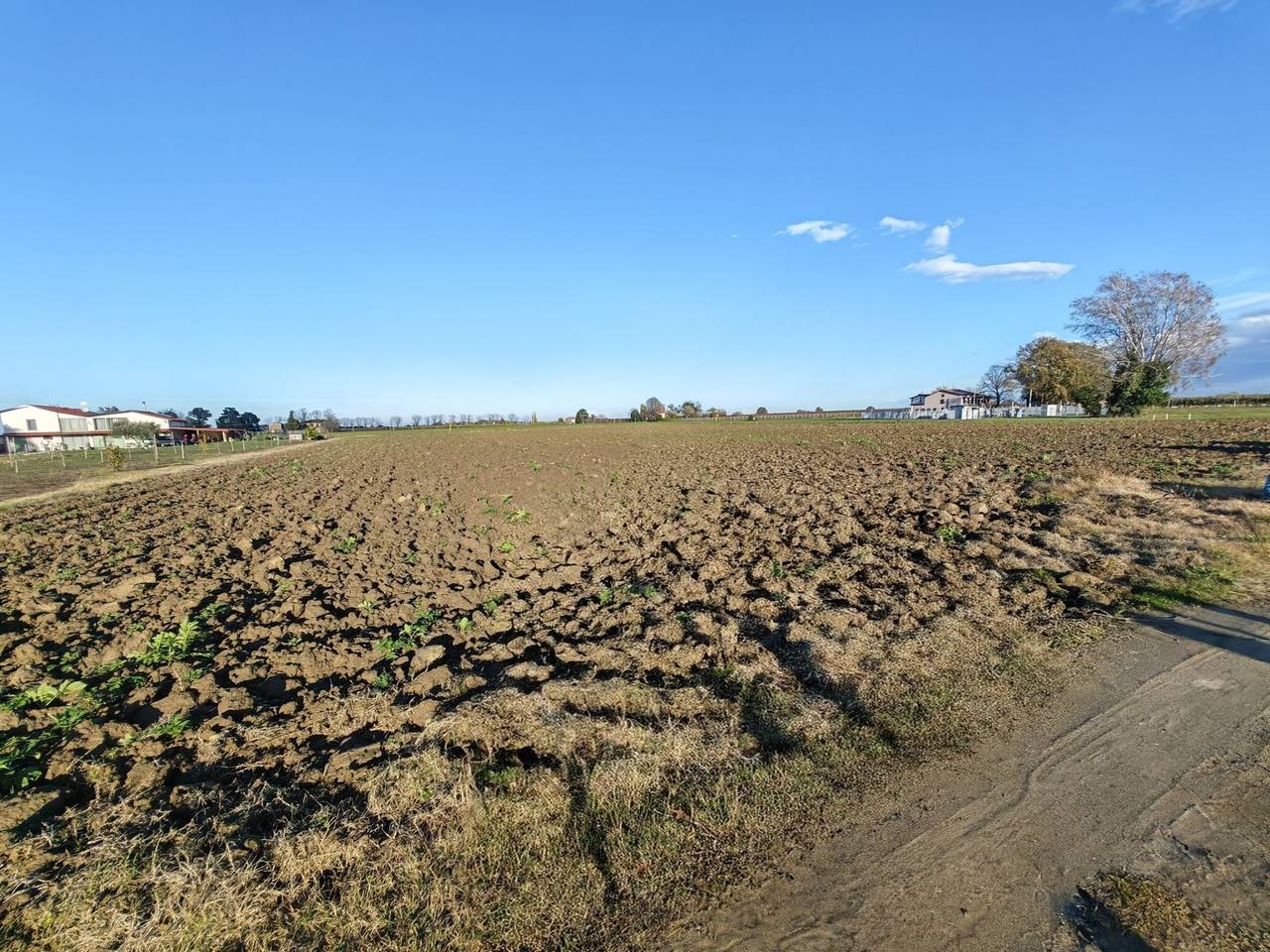 immagine annuncio 4 di 6