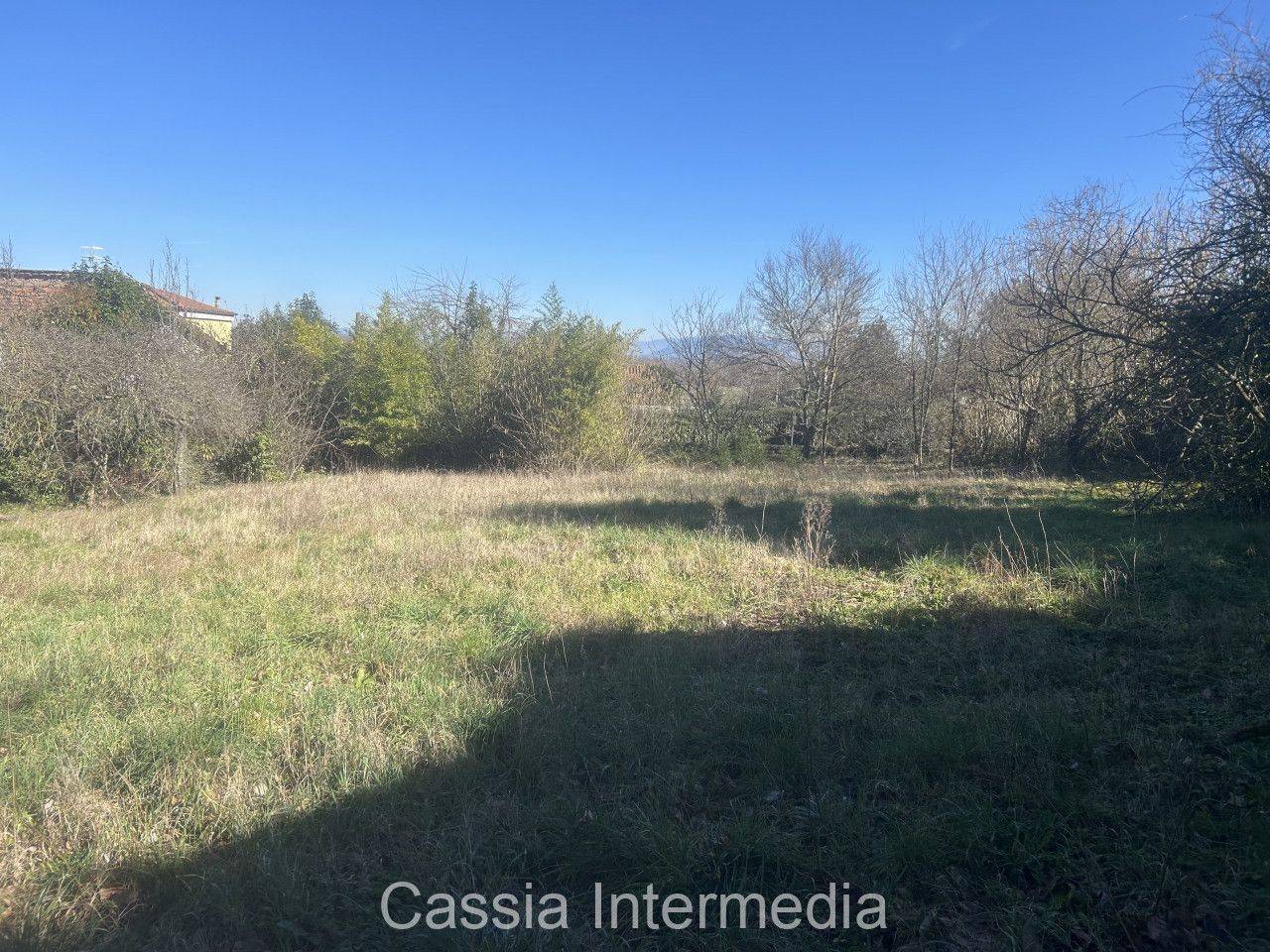 immagine annuncio 12 di 14