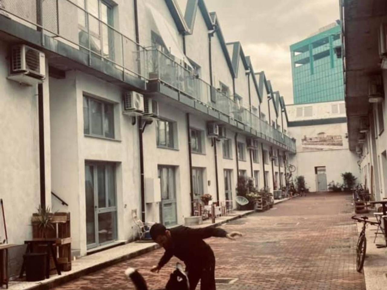 immagine annuncio 4 di 10