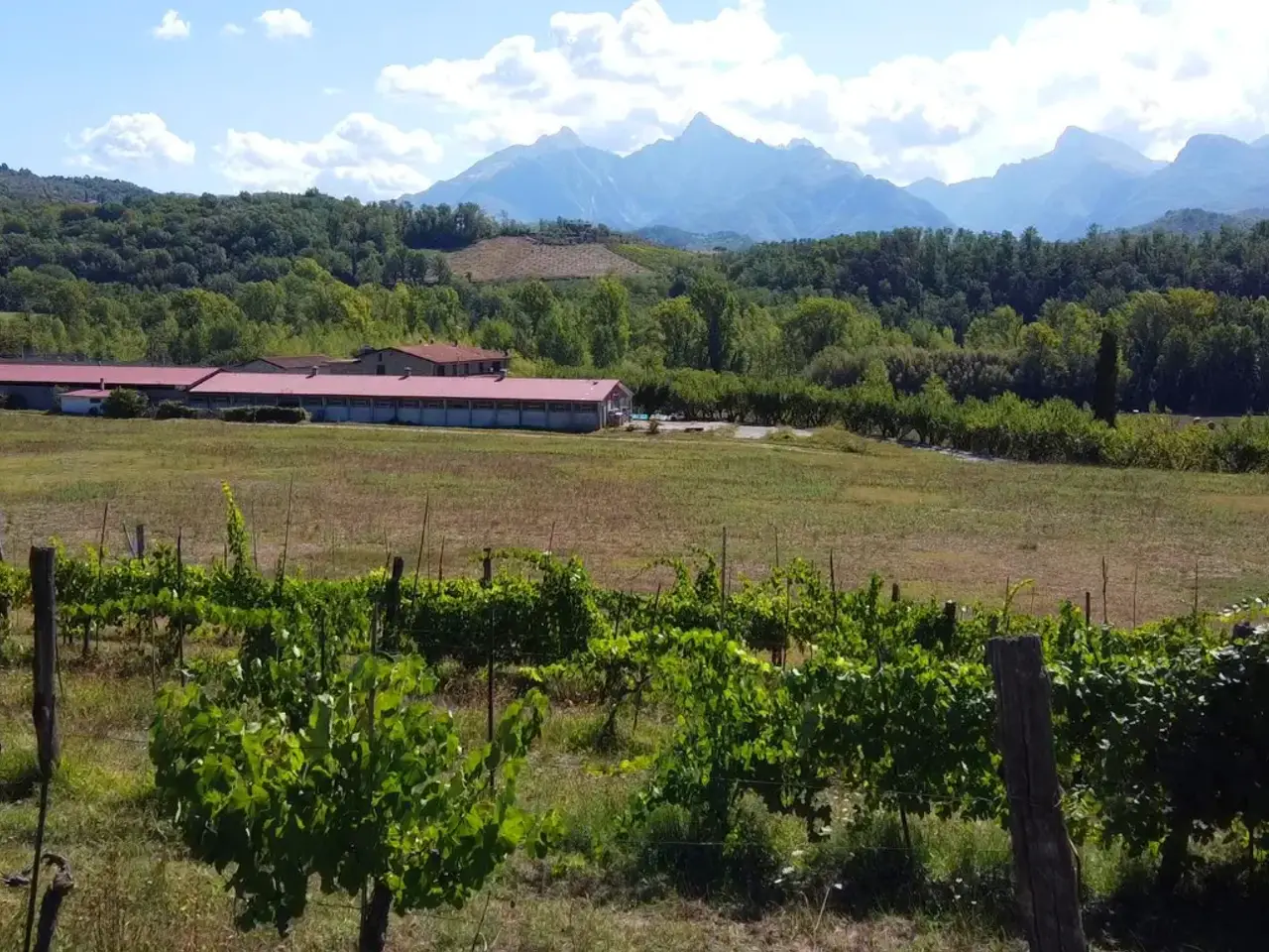 Agriturismo in , Fivizzano, {3} - Foto 1
