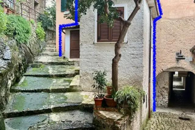insertion image