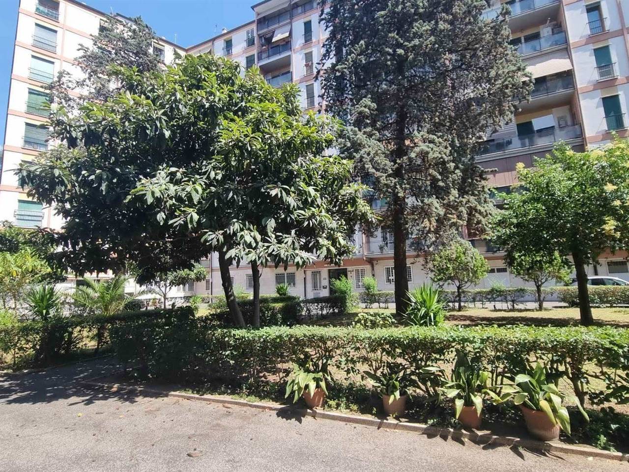 immagine annuncio 1 di 3