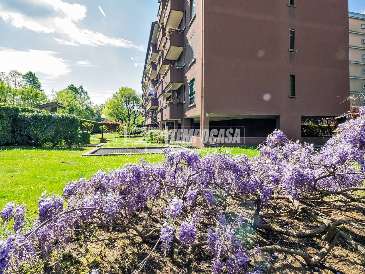 immagine annuncio 7 di 11