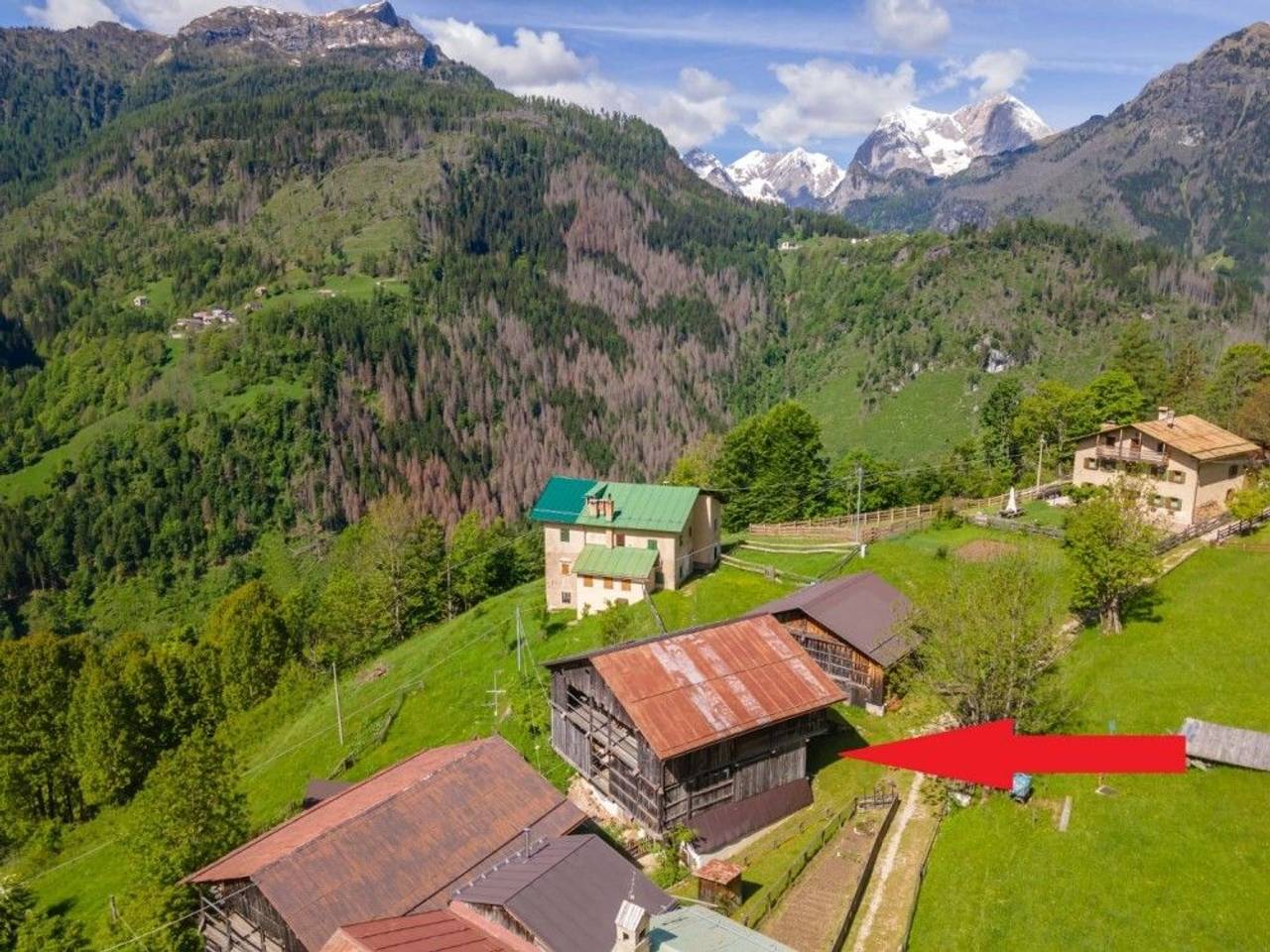 immagine annuncio 8 di 11