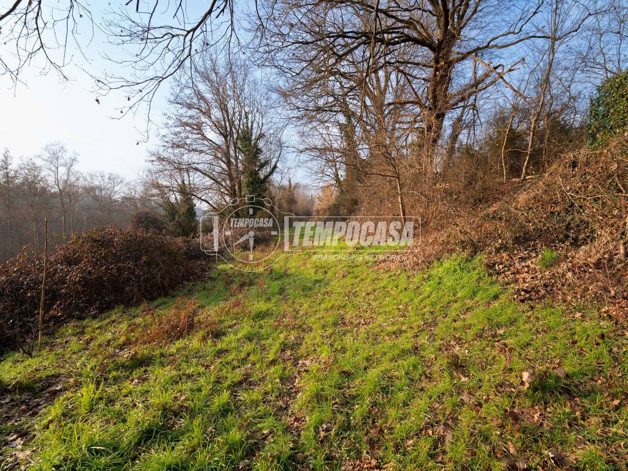 immagine annuncio 3 di 11