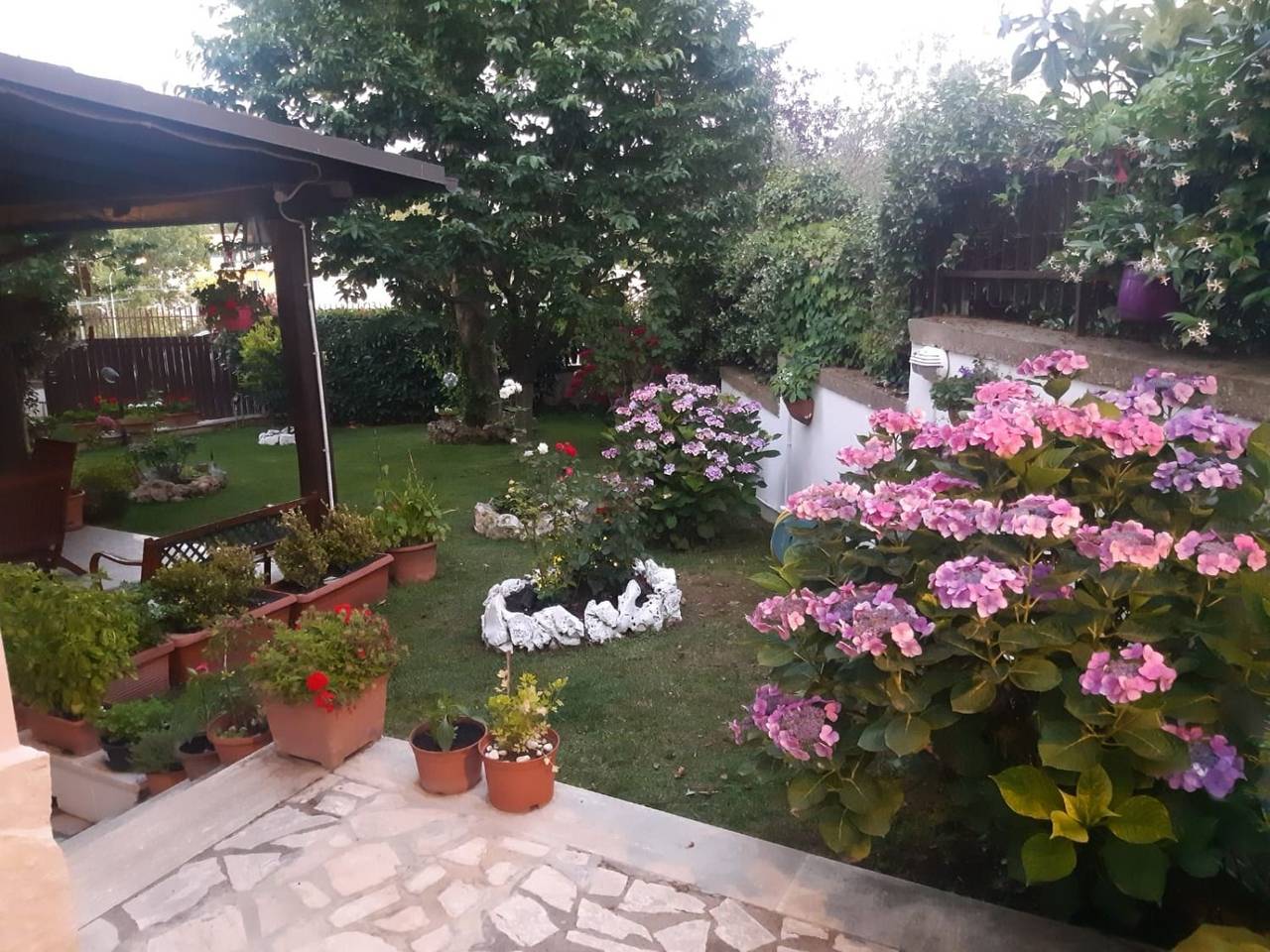 immagine annuncio 2 di 15