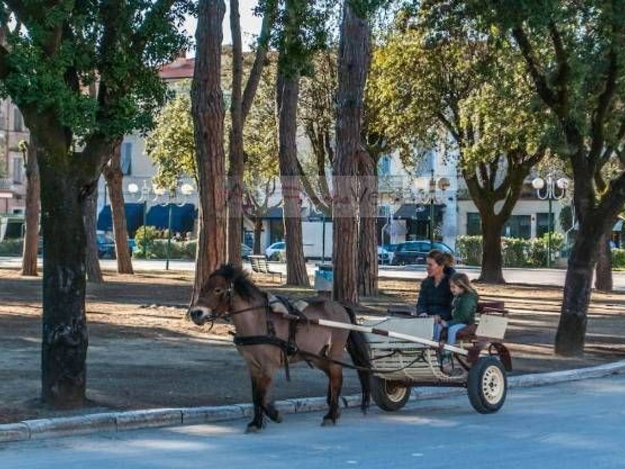 immagine annuncio 4 di 14