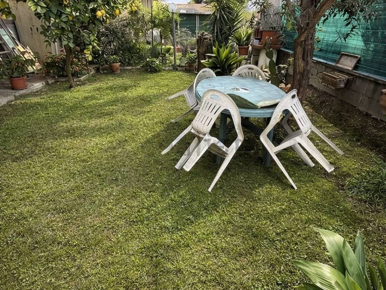 immagine annuncio 6 di 15