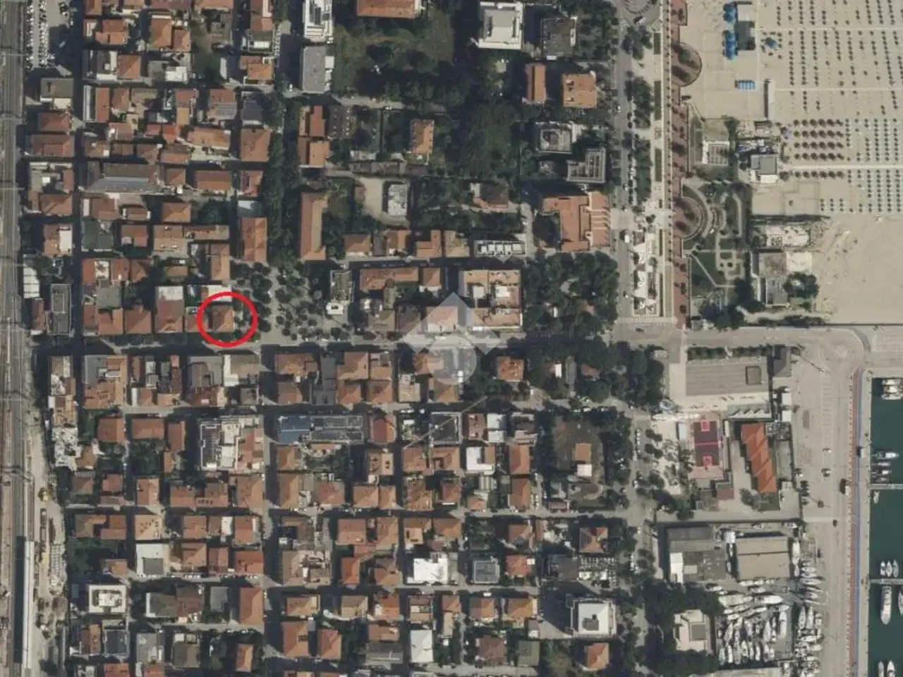 Negozio in Via Nazario Sauro, Giulianova, {3} - Planimetria 1