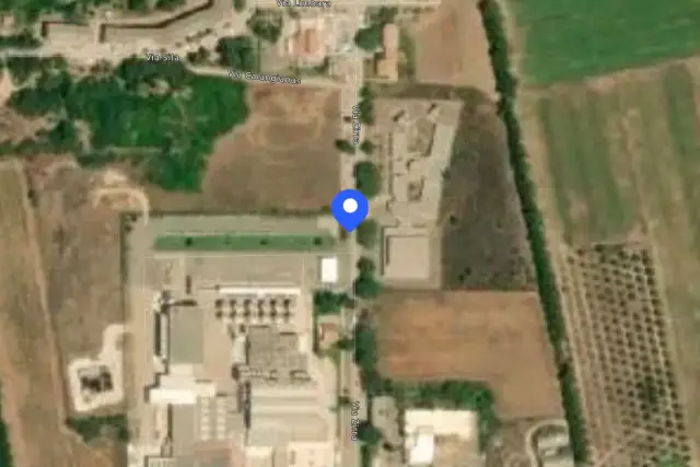 insertion image