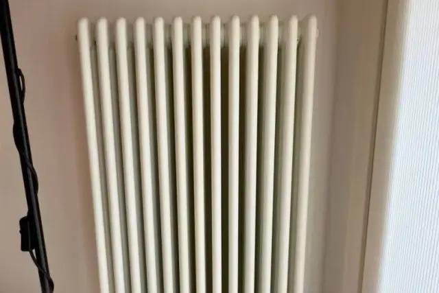 insertion image