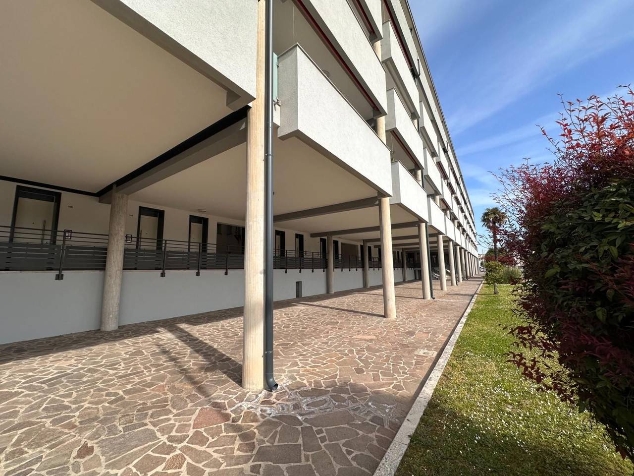 immagine annuncio 12 di 13