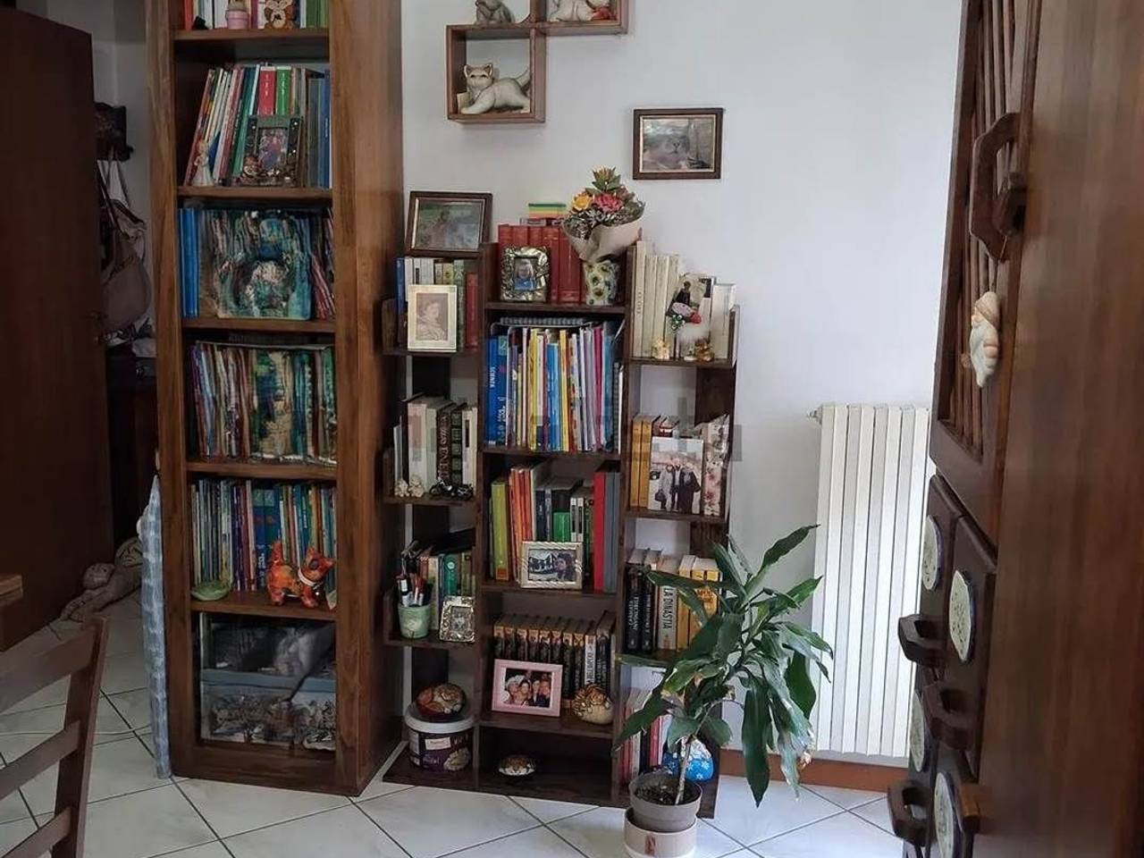 immagine annuncio 6 di 14