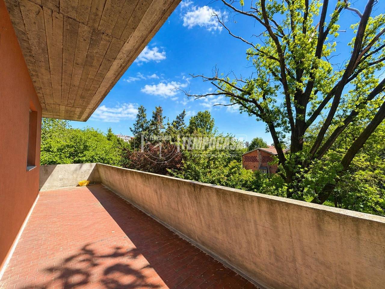 immagine annuncio 4 di 14