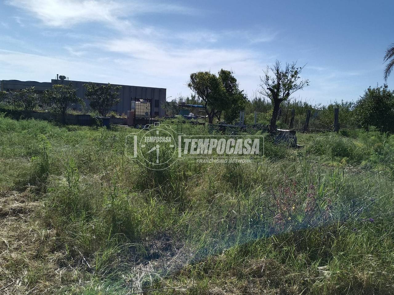 immagine annuncio 8 di 13