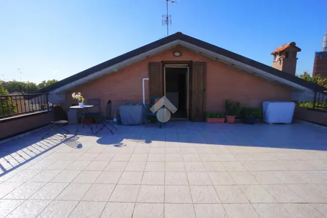 insertion image